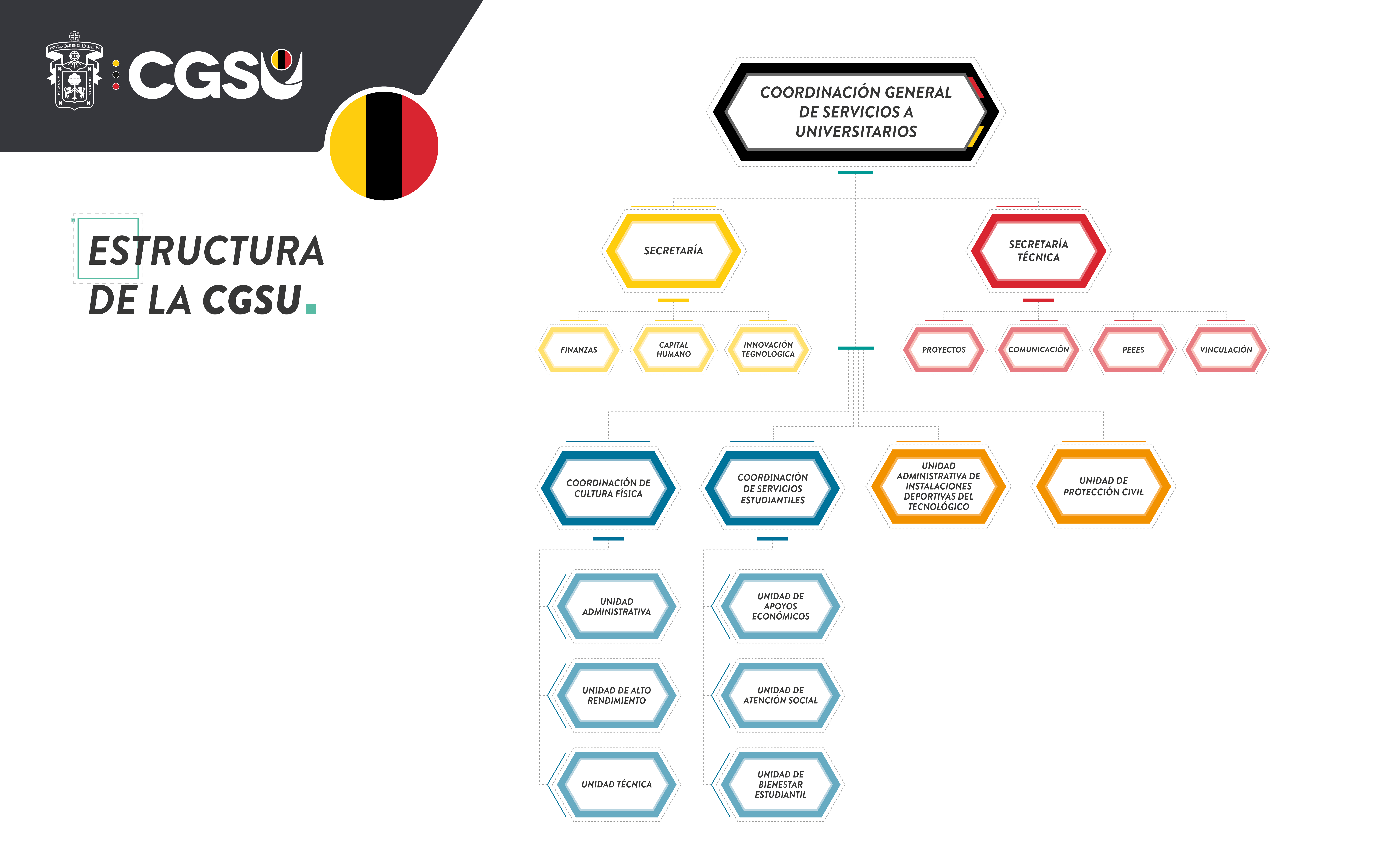 Organigrama de la CGSU