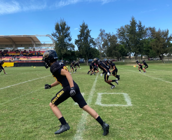 Leones Negros Vs Diablos del Sol