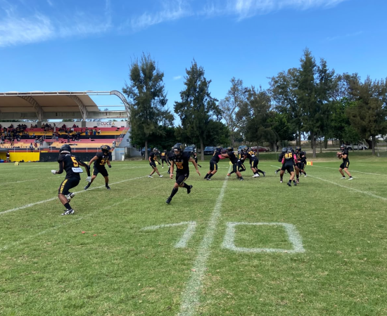 Leones Negros Vs Diablos del Sol